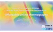 Affordable online thermography – BINDT Infrared Thermography Working Group Webinar